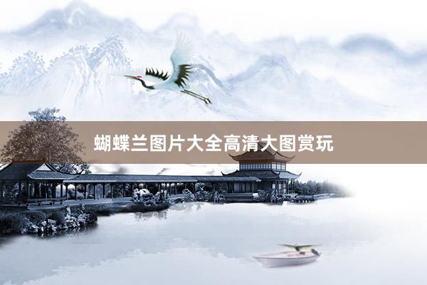蝴蝶兰图片大全高清大图赏玩