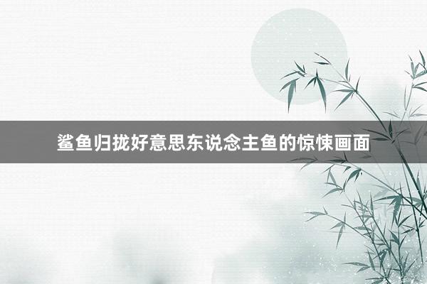 鲨鱼归拢好意思东说念主鱼的惊悚画面